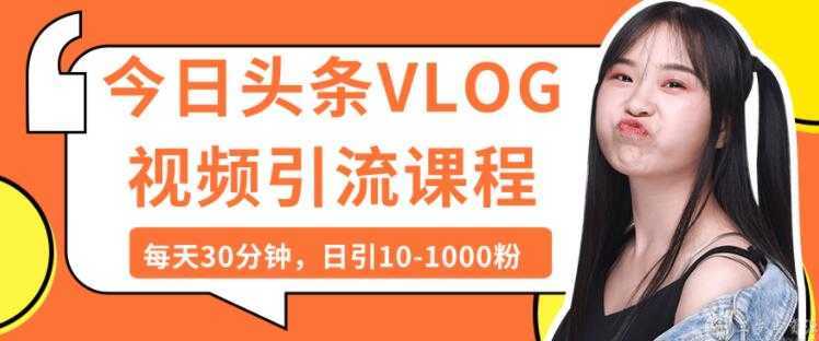 今日头条VLOG视频引流技术，每天30分钟，日引10-1000粉-创业资源网