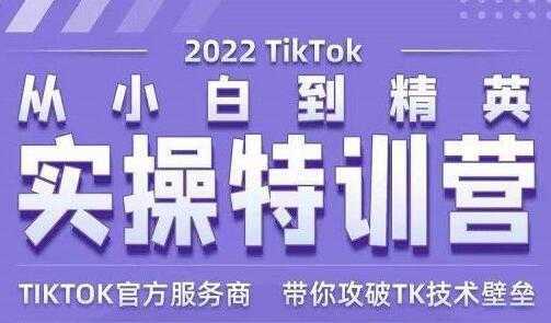 Seven漆《Tiktok从小白到精英实操特训营》带你掌握Tiktok账号运营-创业资源网