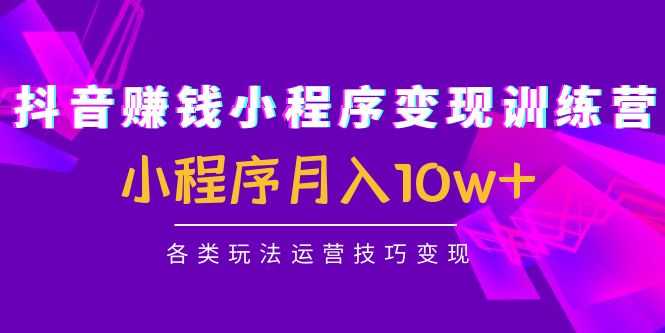 抖音赚钱小程序变现训练营：小程序月入10w+各类玩法运营技巧变现-创业资源网