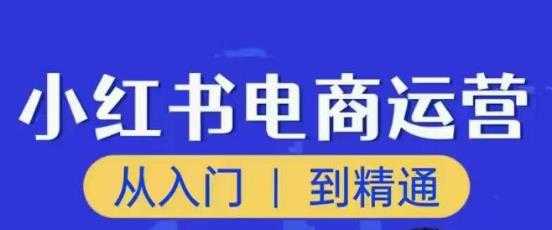 顽石小红书电商高阶运营课程，从入门到精通，玩法流程持续更新-创业资源网