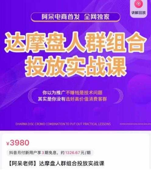 阿呆电商·达摩盘人群组合投放实战课，你以为推广不赚钱是技术问题，其实是你没有选好高价值消费客群-创业资源网