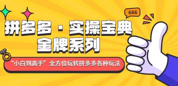 拼多多·实操宝典：金牌系列“小白到高手”带你全方位玩转拼多多各种玩法-创业资源网