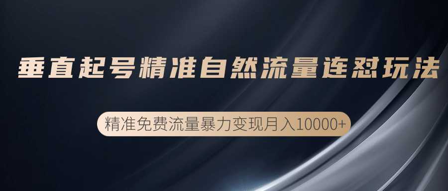 垂直起号精准自然流量连爆玩法，精准引流暴力变现月入10000+-创业资源网