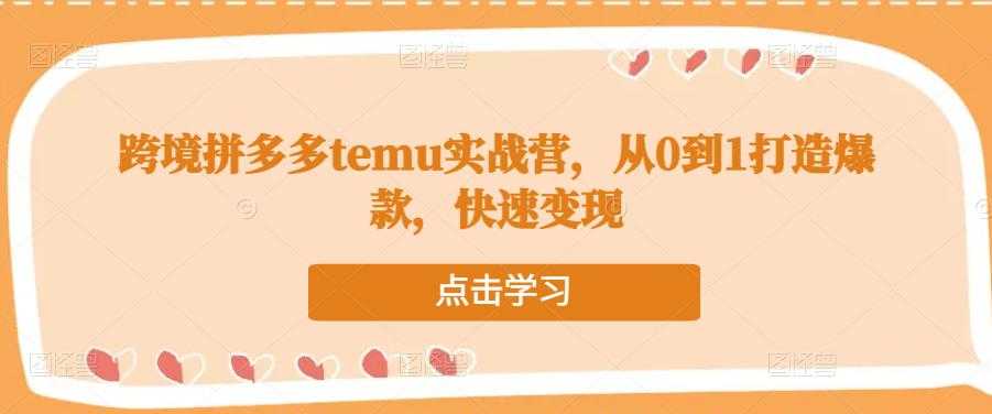 跨境拼多多temu实战营，从0到1打造爆款，快速变现-创业资源网