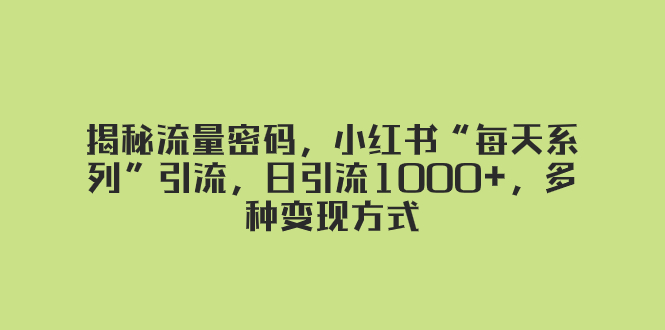 揭秘流量密码，小红书“每天系列”引流，日引流1000+，多种变现方式-暖阳网-优质付费教程和创业项目大全-创业资源网