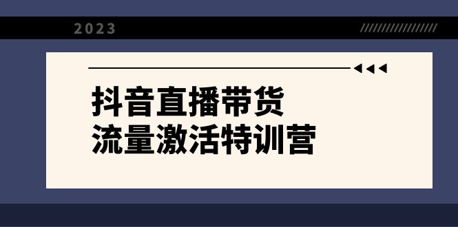 抖音直播带货-流量激活特训营，入行新手小白主播必学-暖阳网-优质付费教程和创业项目大全-创业资源网