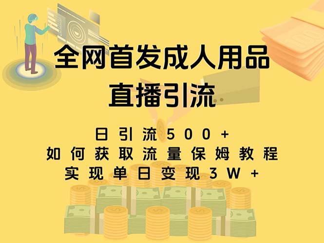 最新全网独创首发，成人用品直播引流获客暴力玩法，单日变现3w保姆级教程-暖阳网-优质付费教程和创业项目大全-创业资源网