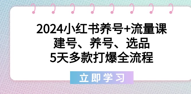 2024小红书的起号 总流量课：创号、起号、选款，5天几款打穿全过程-创业资源网