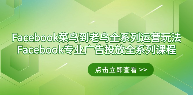 Facebook-小白到老手系列产品经营游戏玩法 Facebook-技术专业广告营销全主题课程-创业资源网