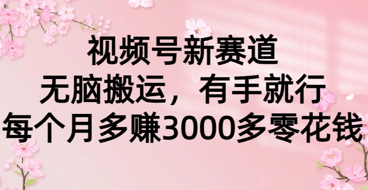 视频号新赛道，无脑搬运，有手就行，每个月多赚3000多零花钱-创业资源网