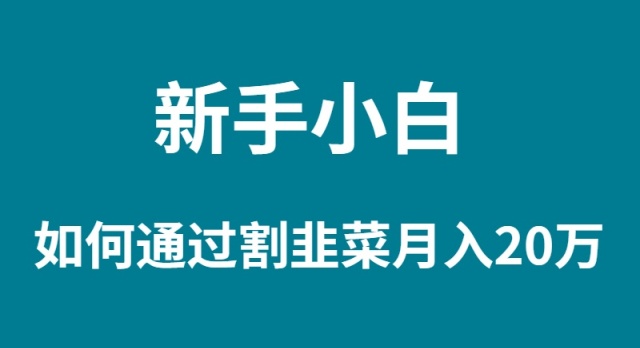 新手入门怎样通过当韭菜割月入 20W-创业资源网