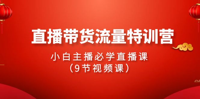 2024直播卖货总流量夏令营，新手网络主播必会视频课堂-创业资源网