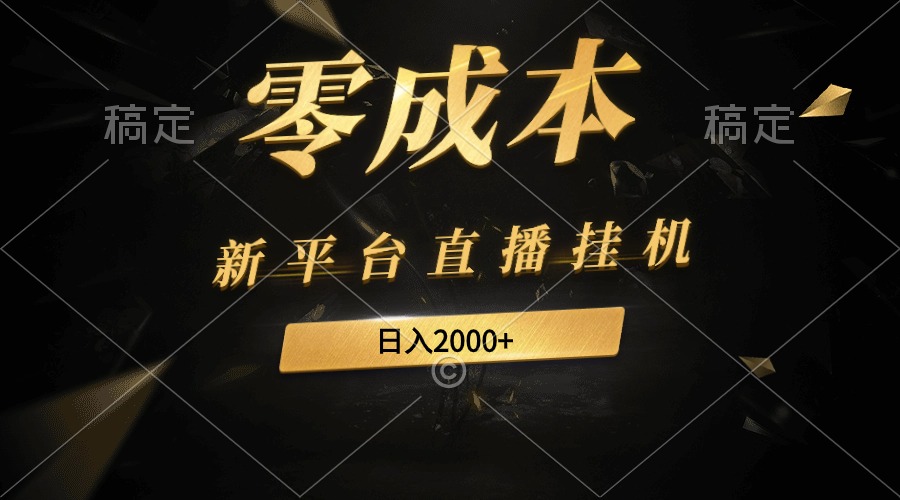 新软件直播放置挂机全新游戏玩法，0成本费，不违规，日入2000-创业资源网