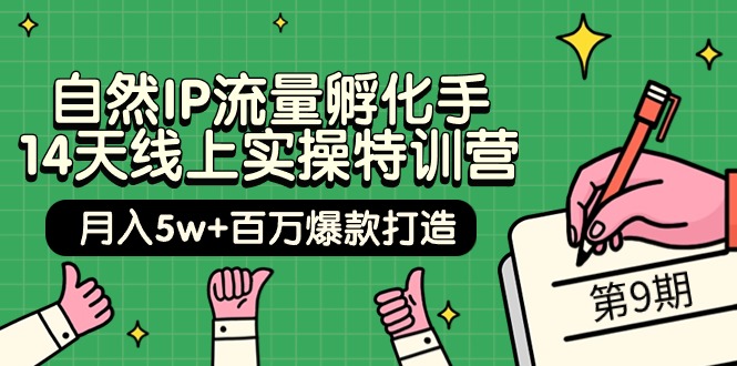 当然IP总流量卵化手 14无线天线上实际操作夏令营【第9期】月入5w 上百万爆款打造 (74节)-创业资源网