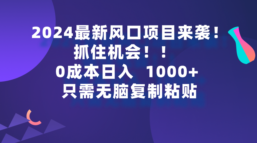 2024全新蓝海项目来临，把握机会，0成本费一部手机日入1000 ，仅需没脑子复…-创业资源网