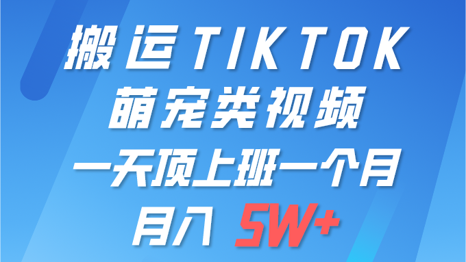 一键运送TIKTOK萌宝类视频 一部手机即可操作 所有平台都可公布 轻轻松松月入5W-创业资源网