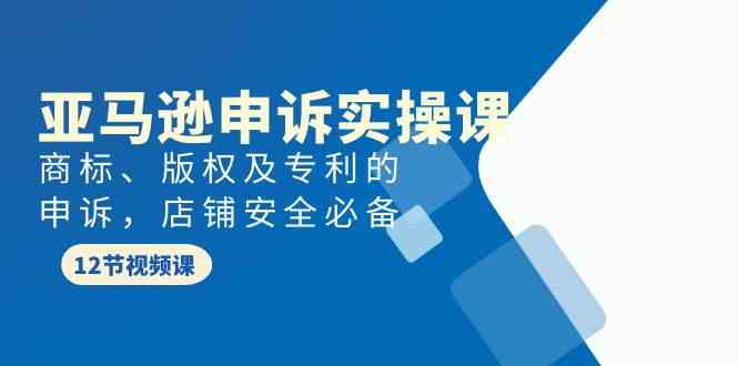 亚马逊-申诉实战课，​商标、版权及专利的申诉，店铺安全必备-创业资源网