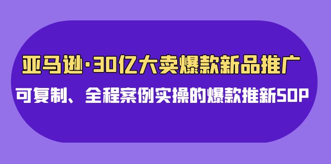 亚马逊平台30亿·热销爆品新品推广，复制推广、全过程实例实际操作的爆款上新SOP-创业资源网