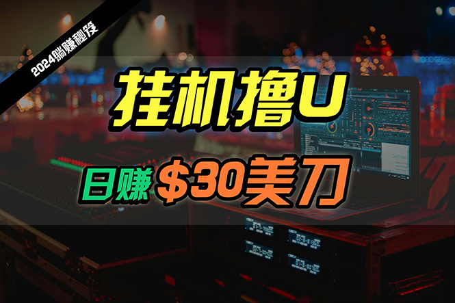 日赚30美金，2024全新国外放置挂机撸U内部结构新项目，全过程无人化，可大批量变大-创业资源网