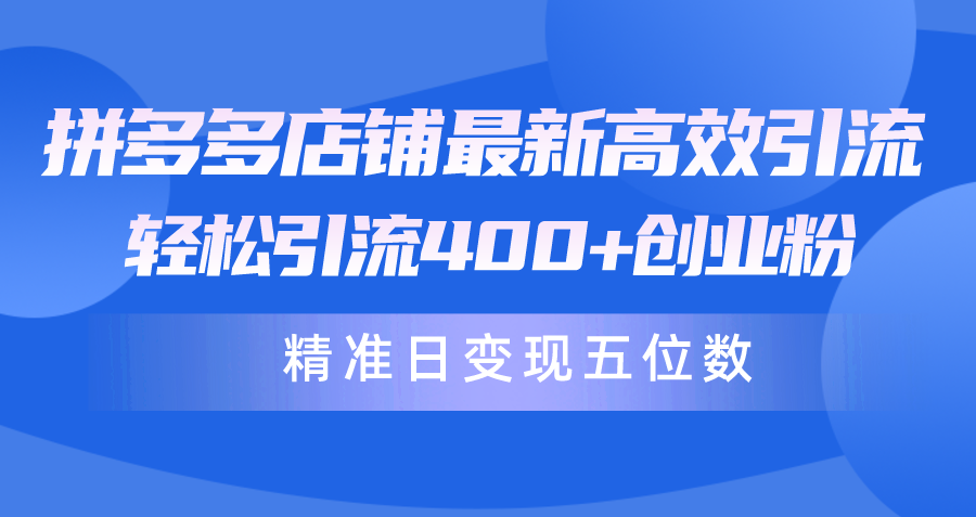 拼多多商家全新高效率引流术，轻轻松松引流方法400 自主创业粉，精确日转现五位数！-创业资源网