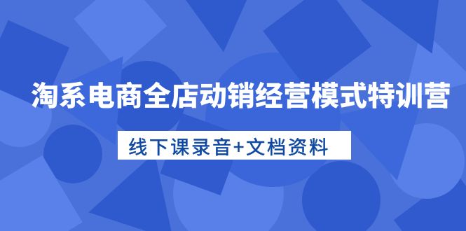 淘宝电子商务全店动销运营模式夏令营，面授课音频 档案文件-创业资源网