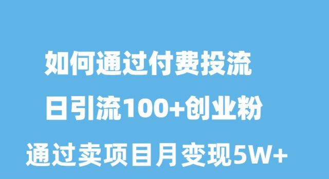 怎样通过付钱投流日引流方法100 自主创业粉月转现5W-创业资源网