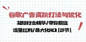 谷歌广告高阶打法与优化，凝结行业精华/带你抓住流量红利/最大化ROI(23节)-创业资源网