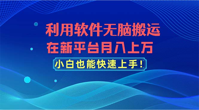 利用软件无脑搬运，在新平台月入上万，小白也能快速上手-创业资源网