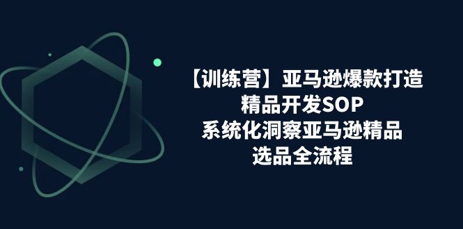 【训练营】亚马逊爆款打造之精品开发SOP，系统化洞察亚马逊精品选品全流程-创业资源网