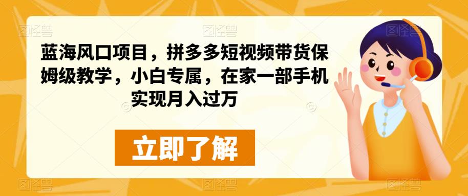 蓝海蓝海项目，拼多多短视频卖货住家保姆级教学过程，初学者特享，在家里面一部手机进行月入过万-创业资源网