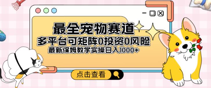 全新升级小宠物跑道全平台轻轻松松日入500 ，0风险性，0项目投资，可引流矩阵长期性收益-创业资源网