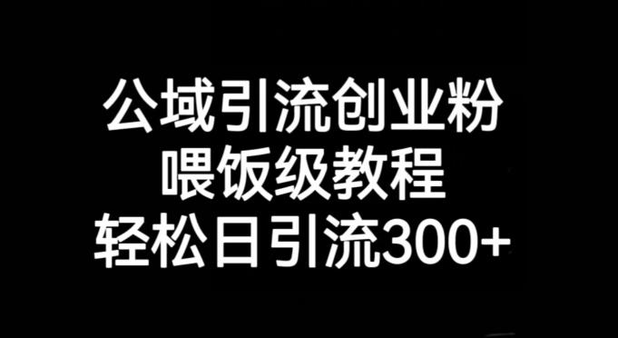 公域流量引流方法自主创业粉，喂食级实例教程，轻轻松松日引流方法300 【揭密】-创业资源网