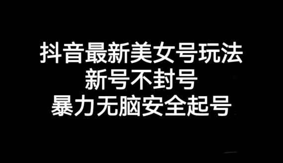 抖音最新美女号玩法，新号不封号，暴力无脑安全起号【揭秘】-创业资源网