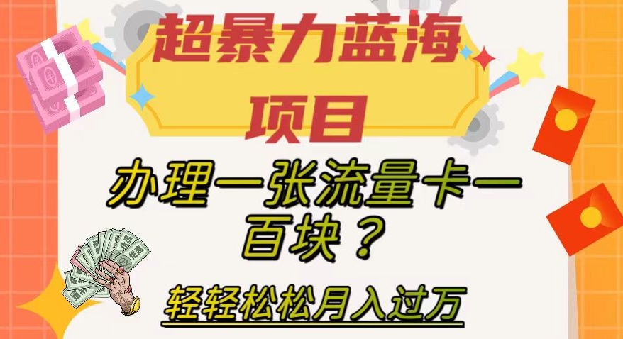 超暴力行为蓝海项目，办理一张上网卡一百块？轻松月入了万，家庭保姆级实例教程【揭密】-创业资源网