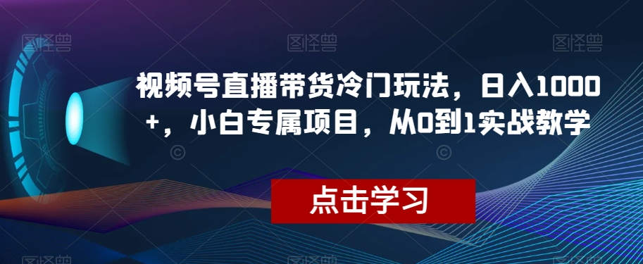 微信视频号直播卖货小众游戏玩法，日入1000 ，新手专享新项目，从0到1实战教学【揭密】-暖阳网-优质付费教程和创业项目大全-创业资源网