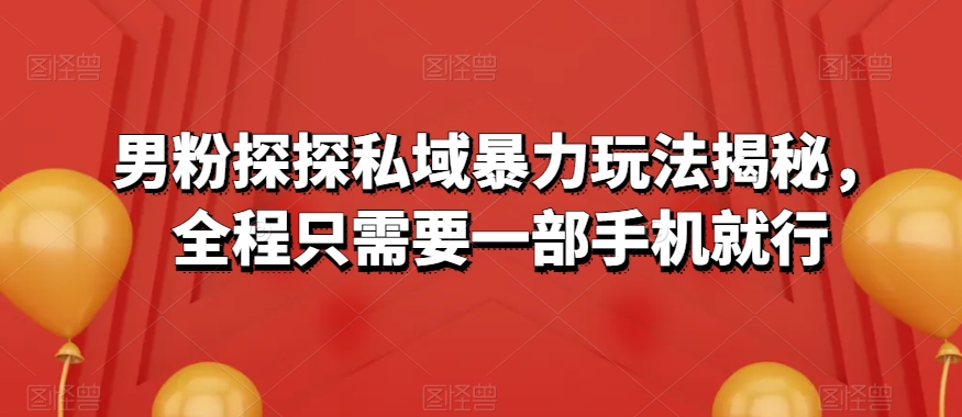 男粉探探私域暴力玩法揭秘，全程只需要一部手机就行-暖阳网-优质付费教程和创业项目大全-创业资源网