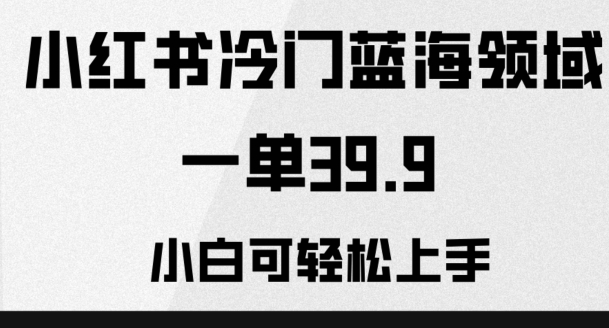 小红书的小众蓝海领域，一单39.9，小白可快速上手-暖阳网-优质付费教程和创业项目大全-创业资源网