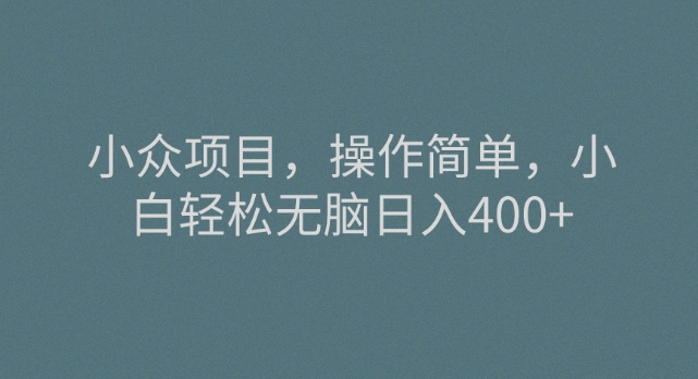 冷门新项目，使用方便，新手轻轻松松没脑子日入400-暖阳网-优质付费教程和创业项目大全-创业资源网