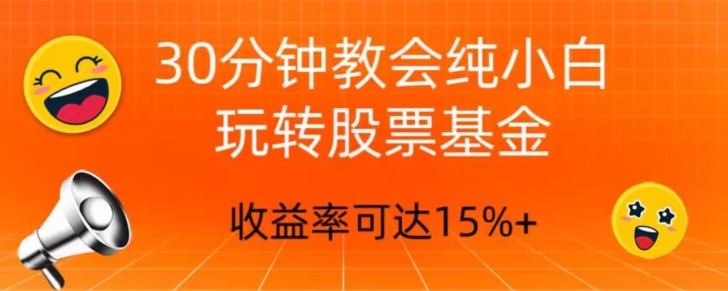 30min教会我们轻松玩股票型基金，只教好一点的挑选方式，不推荐股票-暖阳网-优质付费教程和创业项目大全-创业资源网