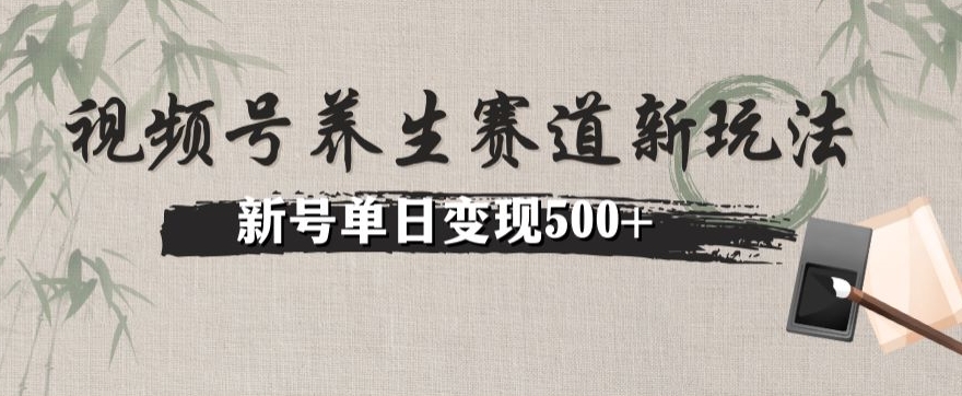 微信视频号健康养生跑道暴力行为掘金队没脑子运送，小号日入500-暖阳网-优质付费教程和创业项目大全-创业资源网