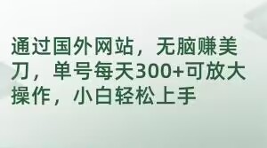 通过国外网站，无脑赚美刀，单号每天300+可放大操作，小白轻松上手【揭秘】-暖阳网-优质付费教程和创业项目大全-创业资源网