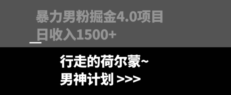 暴力男粉掘金4.0项目不违规不封号无脑复制单人操作日入1000+-暖阳网-优质付费教程和创业项目大全-创业资源网