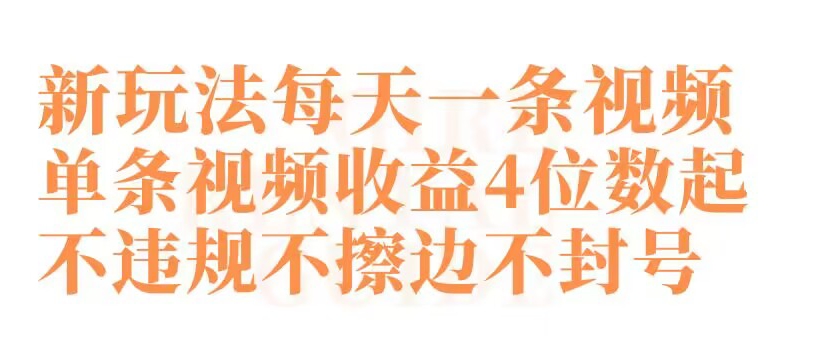 快手新玩法每天一条视频单条视频收益4位数起不违规不擦边不封号【揭秘】-创业资源网