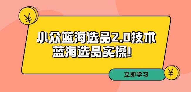 拼多多培训第33期：小众蓝海选品2.0技术-蓝海选品实操！-创业资源网