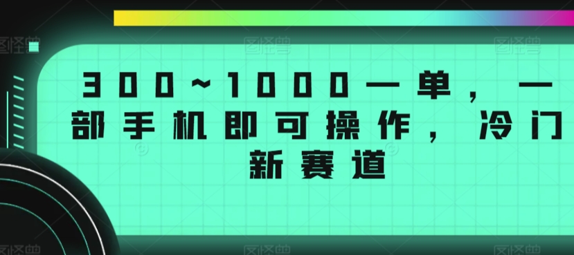 300~1000一单，一部手机即可操作，冷门新赛道-创业资源网