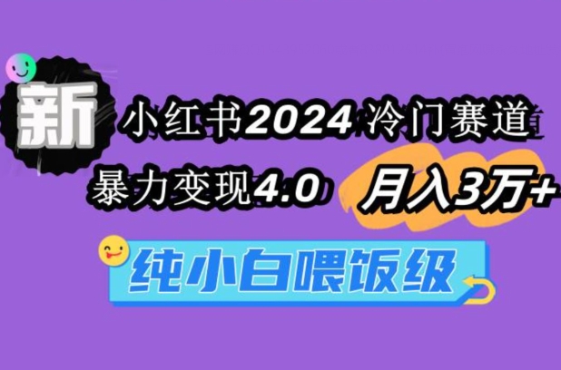 小红书2024冷门赛道一个月3万+暴力变现4.0纯小白喂饭级-创业资源网