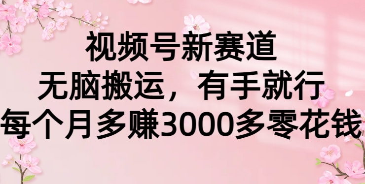 视频号新赛道，无脑搬运，有手就行，每个月多赚3000多零花钱-创业资源网