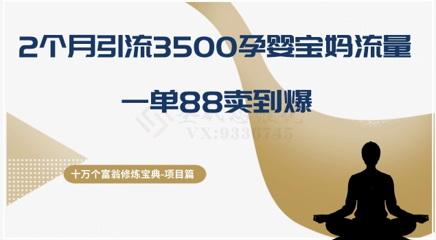 十万个富翁修炼宝典之13.2个月引流3500孕婴宝妈流量，一单88卖到爆-创业资源网