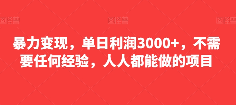 暴力变现，单日利润3000+，不需要任何经验，人人都能做的项目-创业资源网