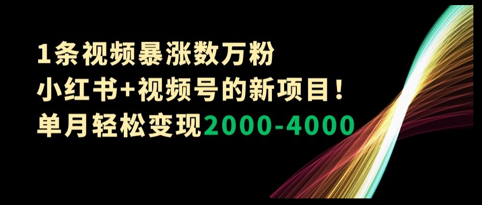 1条视频暴涨数万粉–小红书+视频号的新项目！单月轻松变现2000-4000【揭秘】-创业资源网